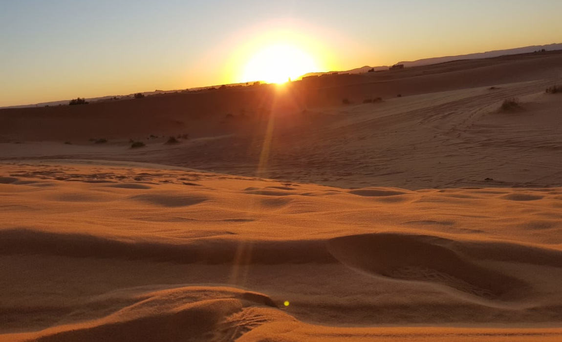 Explore the magic of the Sahara Desert.